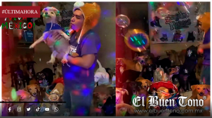 ¡A BAILAR POR LOS LOMITOS! ALBERGUE EN VERACRUZ RECAUDA FONDOS CON SUS “PERRITOS BAILANDO”