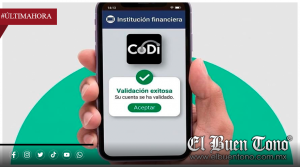 DEL EFECTIVO AL CELULAR: GOBIERNO BUSCA LLEVAR LOS PAGOS DIGITALES HASTA LOS PEQUEÑOS COMERCIOS