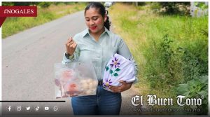 Denuncian a diputada Tania Cruz por uso electoral de programas sociales en Veracruz