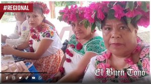 Veracruz tiene 119 intérpretes de lenguas indígenas, pero requiere al menos 300