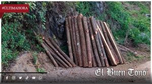 Alerta en el Pico de Orizaba: tala ilegal, grupos armados y vigilancia insuficiente