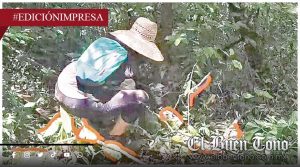 Convocan a limpiar El Cerro Escamela; ciudadanos al rescate