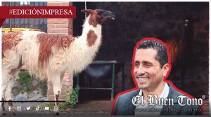 HUGO CHAÍN INDIFERENTE A LAS LLAMAS; LE EXIGEN ACLARAR ESTADO DE SALUD DE LA CRÍA  