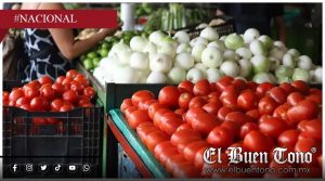 Jitomate llega a 90 pesos por kilo; Veracruz busca aumentar producción