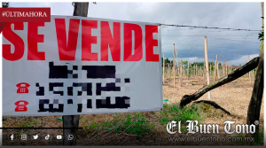 Crisis en el campo de Orizaba: productores venden sus tierras ante la falta de rentabilidad