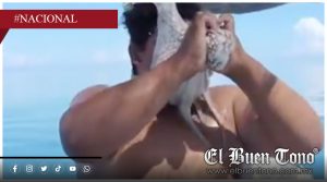 Pescador en Yucatán lucha contra un pulpo que se pegó a su cara