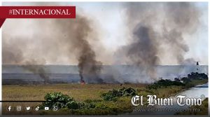 Incendio forestal consume 280 acres en los Everglades