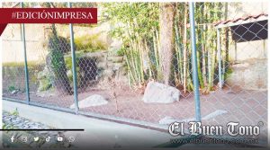 UMA ESCONDE LOS ÚLTIMOS DOS COYOTES; LLEVAN 24 DÍAS FUERA DE SU JAULA