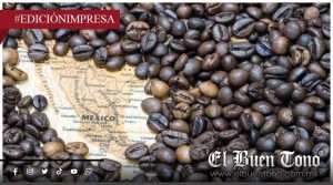 Café de Guatemala presiona al regional; afecta a los abastecedores