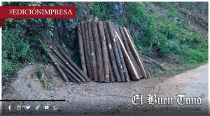 Devastan Pico de Orizaba; ecocidio e impunidad armada