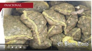 Caen dos con 200 pastillas de fentanilo y toneladas de almeja en veda