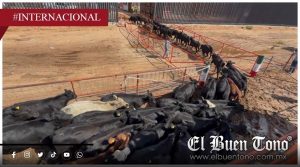 Reabren la frontera entre Chihuahua y Estados Unidos para exportar ganado