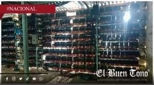 Aseguran más de mil equipos en granja de criptomonedas en Puebla
