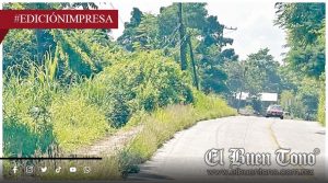 La Maleza invade espacios públicos; afecta calles y banquetas de Tezonapa