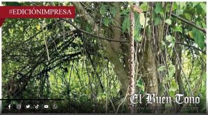 Omealca carece de suero antiviperino; ante aparición de serpientes