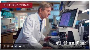 Investigación revela el efecto de combinar azúcar y antibióticos