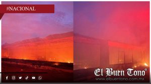 Incendio en granja avícola de Tepic mata a unos 7 mil pollos