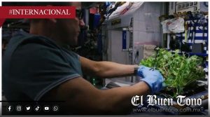 NASA premia sistema que busca producir alimentos en Marte