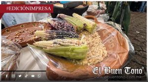 Yanga rescata el maíz criollo; ante entrada del grano foráneo
