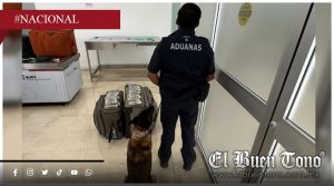 Aseguran más de 365 mil dólares ocultos en maletas en el aeropuerto de Oaxaca