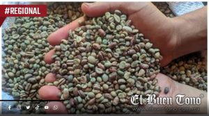 Café brasileño más barato amenaza con desplazar al producto mexicano