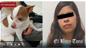 ¡SECUESTRÓ A UNA CHIHUAHUA Y EXIGIÓ TRES ANILLOS DE ORO PARA DEVOLVERLA!