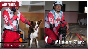Córdoba, Huatusco, Coatepec, Xalapa y Veracruz entrenan binomios K9 para búsqueda y rescate
