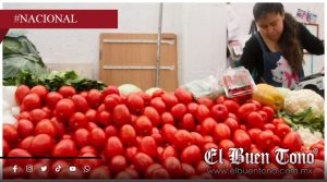 Cuota de 17% al tomate mexicano reduce exportaciones y encarece precios en EU: Ebrard