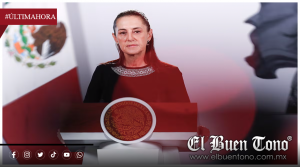 SHEINBAUM PIDE INVESTIGAR A TADDEI PESE A SU RENUNCIA Y EXIGE AUDITORÍA EN EL INE