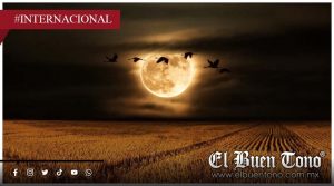 Esto anuncia la Luna del Cazador, según la astrología