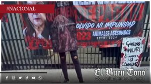Exigen justicia por más de 10 mil perros sacrificados en Tecámac