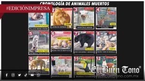 Zoológico acumula muertes y lesiones; negligencia animal en el primer año de Hugo Chahín