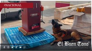 Aseguran 10 kilos de metanfetamina ocultos en una máquina para carpintería en el AICM